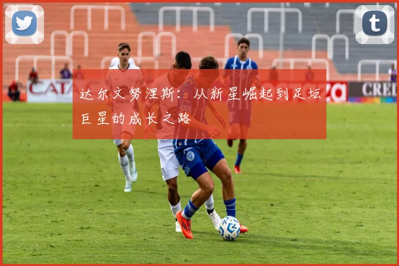 达尔文努涅斯：从新星崛起到足坛巨星的成长之路