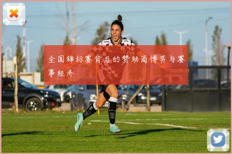 全国锦标赛背后的赞助商博弈与赛事经济