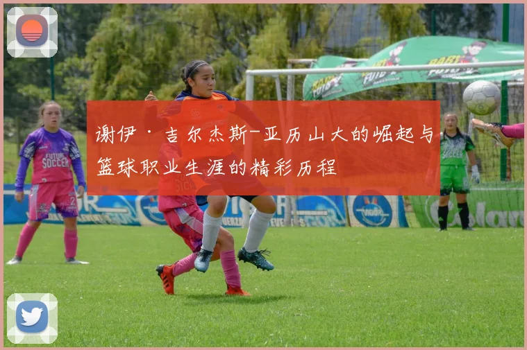 谢伊·吉尔杰斯-亚历山大的崛起与篮球职业生涯的精彩历程