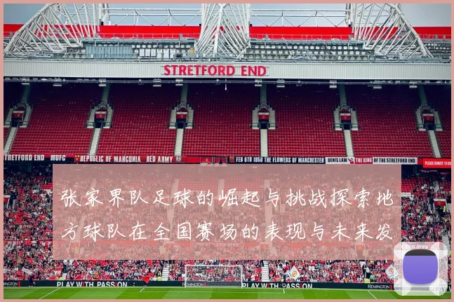 张家界队足球的崛起与挑战探索地方球队在全国赛场的表现与未来发展