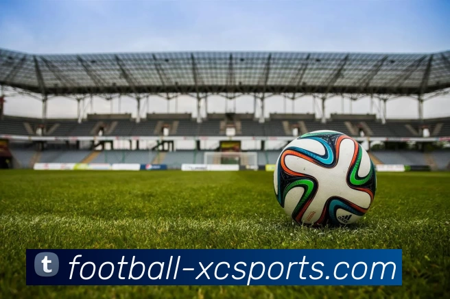 杏彩平台生态图