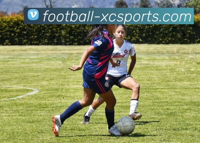 谢伊·吉尔杰斯-亚历山大的崛起与篮球职业生涯的精彩历程